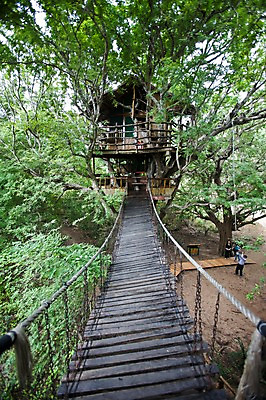 포토 JPG 주간 나무 해외풍경 해외 아시아 어린이 가족 자연 주택 사람 풍경 여러명 성인 야외 중국 그네 목조 그네타기 구름다리 해남도 국내포토 자연요소 식물 나라 다수 관계 놀이 건물 다리_건축물 생태계 파일형식