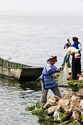 포토 JPG 주간 해외풍경 해외 여자 아시아 호수 이끼 사람 풍경 야외 세명 강 중국 돌_바위 바위 다리 작업 망 그물 작업실 정박 운남성 따리 얼하이레이크 얼하이호 선박 여자만 국내포토 자연요소 나라 수상교통 배_교통 신체부위 성 파일형식