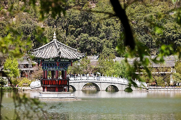 포토 JPG 주간 나무 식물 해외풍경 해외 공원 아시아 사람 풍경 여러명 야외 물 관광지 반사 여행객 중국 숲 정자 운남성 리장 가교 헤이룽탄공원 국내포토 자연요소 건축물 공공시설 나라 여행 다수 성 호수공원 파일형식