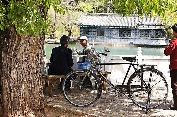 포토 JPG 주간 외국인 나무 해외풍경 해외 건축물 공원 아시아 호수 벤치 의자 사람 앉기 풍경 성인 야외 세명 물 중국인 자전거 중국 운남성 리장 성인만 헤이룽탄공원 국내포토 자연요소 식물 공공시설 건축 나라 가구 모션 동양인 인종 바이크 성 호수공원 파일형식