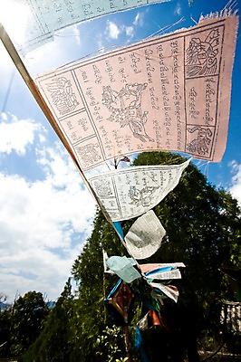 포토 JPG 주간 나무 구름 해외풍경 해외 공원 아시아 줄 로우앵글 하늘 날리기 풍경 사람없음 야외 아웃포커스 맑음 중국 기도 천 제사 소원 운남성 걸림 리장 헤이룽탄공원 국내포토 자연요소 식물 공공시설 나라 뷰포인트 모션 날씨 촬영기법 직물 성 전통의례 호수공원 파일형식
