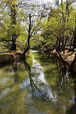 포토 JPG 주간 나무 식물 해외풍경 해외 공원 아시아 그림자 풍경 사람없음 야외 물 반사 중국 연못 조경 운남성 리장 헤이룽탄공원 국내포토 자연요소 공공시설 나라 성 호수공원 파일형식