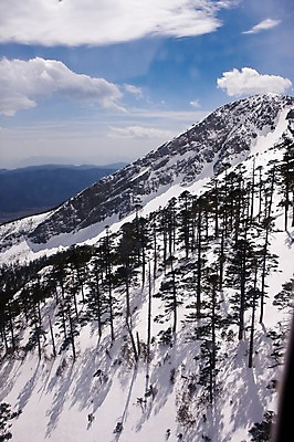 포토 JPG 주간 나무 구름 해외풍경 해외 아시아 하늘 산 풍경 사람없음 야외 맑음 중국 눈 정상 봉우리 만년설 산봉우리 운남성 리장 옥룡설산 위롱쉐산 국내포토 자연요소 식물 나라 날씨 성 파일형식 설산