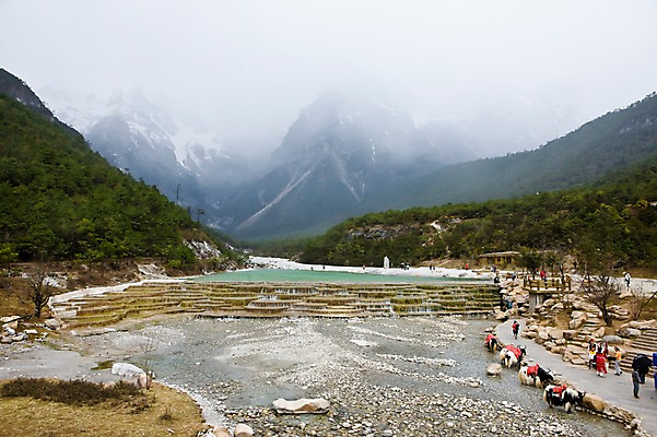 포토 JPG 주간 동물 해외풍경 해외 아시아 호수 여러마리 산 사람 풍경 여러명 야외 물 관광지 여행객 계곡 중국 흐름 묶기 만년설 운남성 리장 바이수이허 야크 인공호수 국내포토 자연요소 나라 여행 다수 컨셉 모션 성 파일형식