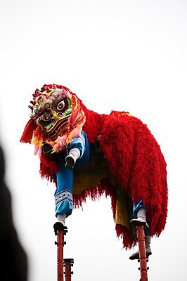 포토 JPG 주간 해외 아시아 전통문화 문화 로우앵글 문화예술 가면 사람 야외 두명 중국 춤 사자 탈춤 전통무용 탈 구이저우성 귀주성 국내포토 자연요소 전통 나라 뷰포인트 포유류 전통공연 파일형식