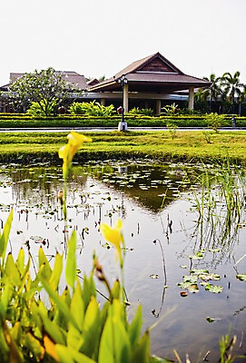 포토 JPG 주간 식물 해외풍경 해외 건축물 꽃 아시아 태국 자연 주택 풍경 잔디 사람없음 야외 건물 물 반사 연못 풀 수중식물 연잎 국내포토 자연요소 건축 나라 잎 생태계 파일형식