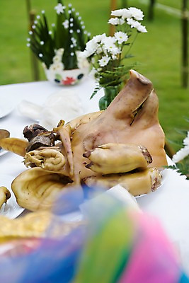 포토 JPG 주간 해외풍경 해외 아시아 종교 태국 탁자 사람없음 야외 아웃포커스 꽃병 돼지 의식 상차림 제사 준비 제사상 치앙라이 국내포토 자연요소 꽃 나라 가구 포유류 촬영기법 풍경 전통의례 파일형식