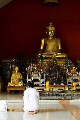 포토 JPG 해외 여자 아시아 종교 불교 태국 종교시설 실내 한명 사람 성인 뒷모습 기도 사찰 사원 무릎꿇기 불상 치앙라이 여자만 여자한명만 성인여자만 성인만 국내포토 1 나라 뷰포인트 비즈니스 종교건축 모션 내부 시설 파일형식