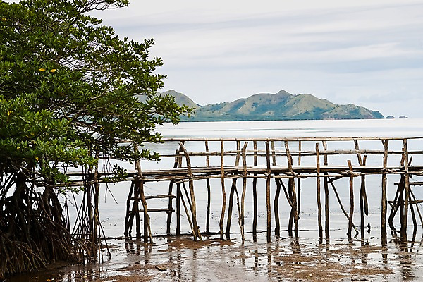 포토 JPG 주간 나무 식물 해외풍경 해외 아시아 바다 섬 자연 하늘 산 필리핀 풍경 해변 사람없음 야외 나무다리 코론섬 팔라완 가교 국내포토 자연요소 건축물 나라 동남아시아 다리_건축물 생태계 파일형식