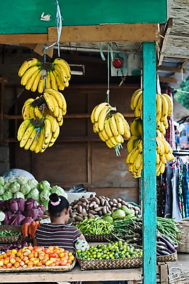 포토 JPG 주간 해외풍경 해외 여자 아시아 채소 과일 고추 가지 바나나 종류 필리핀 한명 야외 뒷모습 상점 전시 당근 다양 시장 상인 양배추 고구마 여자만 여자한명만 국내포토 자연요소 1 나라 뷰포인트 다수 뿌리채소 사람 풍경 동남아시아 파일형식