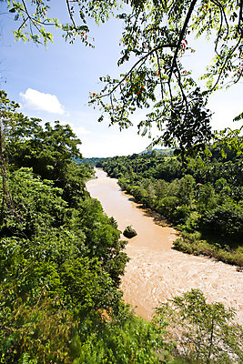 포토 JPG 주간 나무 식물 구름 해외풍경 해외 아시아 자연 하늘 필리핀 풍경 사람없음 야외 물 강 맑음 흐름 숲 흙탕물 국내포토 자연요소 나라 컨셉 날씨 동남아시아 생태계 파일형식