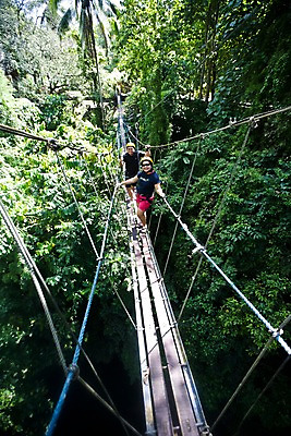 포토 JPG 주간 나무 식물 해외풍경 해외 아시아 여행 필리핀 사람 풍경 성인 야외 두명 관광지 여행객 트래킹 숲속 숲 안전모 열대우림 익스트림스포츠 구름다리 가교 성인만 국내포토 자연요소 건축물 나라 스포츠 레저 동남아시아 다리_건축물 헬멧 안전장비 파일형식