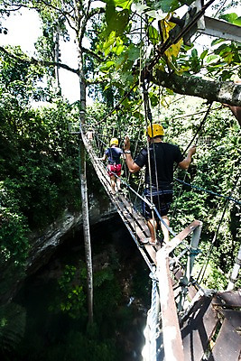 포토 JPG 주간 나무 식물 해외풍경 해외 아시아 여행 필리핀 사람 풍경 성인 야외 세명 관광지 여행객 트래킹 숲속 숲 안전모 열대우림 익스트림스포츠 구름다리 가교 성인만 국내포토 자연요소 건축물 나라 스포츠 레저 동남아시아 다리_건축물 헬멧 안전장비 파일형식