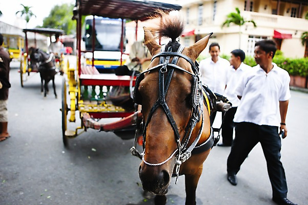 포토 JPG 주간 외국인 해외풍경 해외 남자 아시아 여행 거리 필리핀 사람 풍경 여러명 성인 야외 관광지 문화재 말_동물 역사 마차 마닐라 마부 남자만 성인남자만 성인만 국내포토 자연요소 나라 교통수단 다수 포유류 인종 동남아시아 파일형식