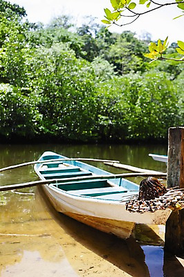 포토 JPG 주간 나무 식물 해외풍경 해외 아시아 수상교통 자연 필리핀 풍경 사람없음 야외 물 강 보트 숲 묶기 정박 밀짚모자 맹그로브 패들 선박 국내포토 자연요소 모자_잡화 나라 교통수단 배_교통 모션 동남아시아 노_배의노 생태계 파일형식