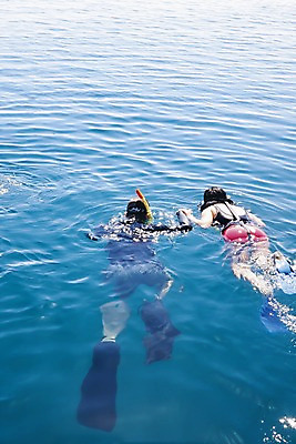 포토 JPG 주간 해외풍경 해외 여자 남자 수영복 아시아 스포츠 바다 백그라운드 자연 레저 필리핀 사람 풍경 손짓 야외 두명 뒷모습 손잡기 수상스포츠 스노클링 물안경 오리발 잠수 휴양지 국내포토 자연요소 옷 나라 뷰포인트 모션 동남아시아 장소 생태계 수영용품 파일형식