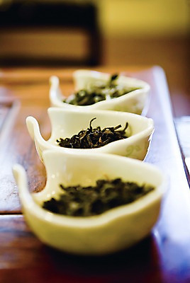 포토 JPG 그릇 음식 백그라운드 잎 탁자 주방용품 건조 실내 사람없음 아웃포커스 식당 카페 도자기 차 다기 담기 국내포토 식물 식기 음료 가구 생활용품 모션 촬영기법 내부 상점 다도 파일형식