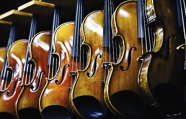 포토 JPG 악기 음악 로우앵글 백그라운드 현악기 한국 실내 사람없음 판매 상점 여러개 전시 상품 바이올린 서양악기 몸통 국내포토 아시아 뷰포인트 다수 문화예술 내부 신체부위 파일형식