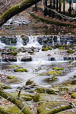 포토 JPG 주간 나무 종교 불교 자연 산 한국 이끼 풍경 사람없음 야외 관광지 계곡 흐름 돌_바위 사찰 전라남도 장성 장성백양사 국내포토 자연요소 식물 아시아 여행 컨셉 종교건축 전라도 생태계 파일형식