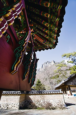 포토 JPG 주간 나무 종교 로우앵글 불교 자연 산 한국 돌담 단청문양 풍경 사람없음 야외 관광지 담장 전통무늬 문화재 사찰 전라남도 단청 처마 장성 장성백양사 국내포토 자연요소 식물 전통 문양 아시아 뷰포인트 여행 무늬 종교건축 돌_바위 전라도 생태계 파일형식