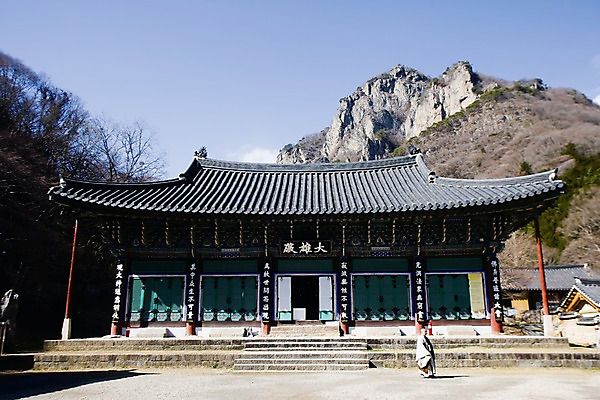 포토 JPG 주간 나무 남자 종교 불교 자연 산 한국 한명 사람 풍경 야외 관광지 문화재 사찰 승려 전라남도 대웅전 법당 장성 장성백양사 남자만 남자한명만 국내포토 자연요소 식물 1 아시아 여행 종교건축 성직자 전라도 생태계 파일형식