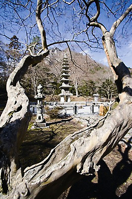 포토 JPG 주간 나무 종교 불교 자연 산 한국 그림자 풍경 사람없음 야외 관광지 탑 문화재 사찰 석탑 전라남도 백양사팔층석탑 장성 장성백양사 국내포토 자연요소 식물 건축물 아시아 여행 종교건축 전라도 생태계 파일형식