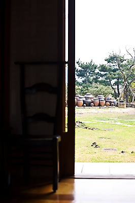 포토 JPG 주간 나무 의자 주택 한국 풍경 잔디 사람없음 야외 제주도 문 정원 소나무 항아리 국내포토 자연요소 식물 아시아 가구 건물 도자기 파일형식