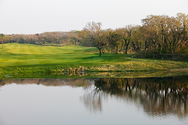 포토 JPG 주간 나무 식물 호수 골프장 필드 한국 풍경 잔디 사람없음 야외 물 제주도 반사 경기장 국내포토 자연요소 아시아 골프 스포츠시설 파일형식