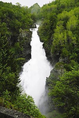 포토 JPG 주간 나무 식물 해외풍경 유럽 백그라운드 유럽풍경 자연 북유럽 노르웨이 풍경 사람없음 야외 폭포 피오르 국내포토 자연요소 해외 나라 생태계 지형 파일형식