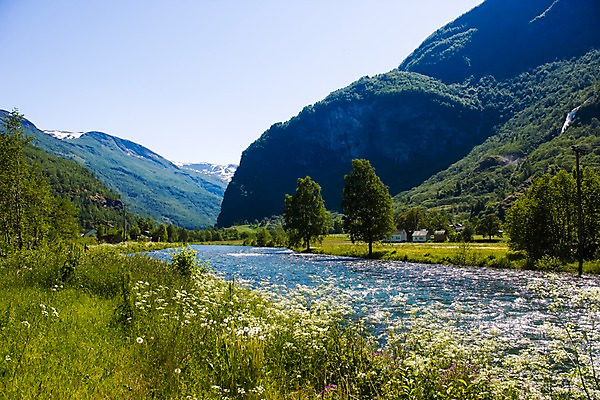 포토 JPG 주간 나무 식물 해외풍경 꽃 유럽 유럽풍경 자연 북유럽 노르웨이 풍경 사람없음 야외 피오르 국내포토 자연요소 해외 나라 생태계 지형 파일형식