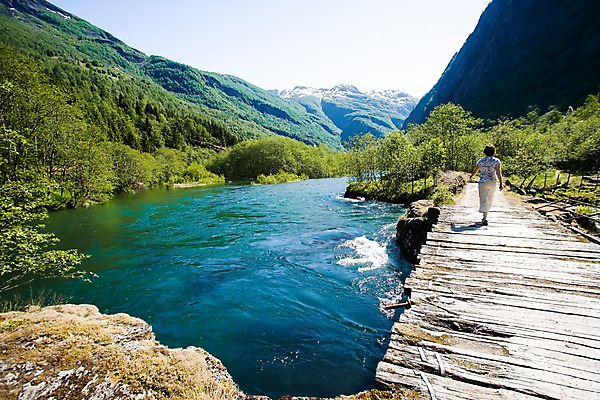 포토 JPG 주간 외국인 나무 식물 해외풍경 여자 유럽 바다 유럽풍경 자연 북유럽 노르웨이 한명 사람 풍경 성인 야외 피오르 여자만 여자한명만 성인여자만 성인만 국내포토 자연요소 1 해외 나라 인종 생태계 지형 파일형식