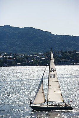 포토 JPG 주간 나무 식물 해외풍경 건축물 건축 유럽 바다 요트 유럽풍경 자연 산 북유럽 노르웨이 풍경 사람없음 야외 도시 선박 국내포토 자연요소 해외 나라 수상교통 배_교통 생태계 파일형식