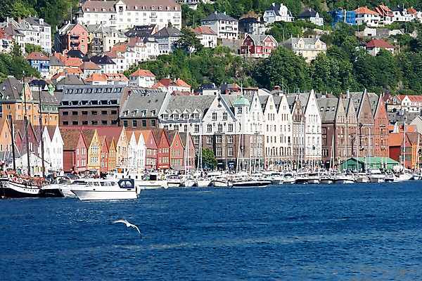 포토 JPG 주간 나무 식물 동물 해외풍경 건축물 건축 유럽 바다 고건축 요트 유럽풍경 자연 조류 북유럽 노르웨이 풍경 사람없음 야외 건물 항구 베르겐 선박 국내포토 자연요소 해외 나라 수상교통 배_교통 교통시설 생태계 파일형식