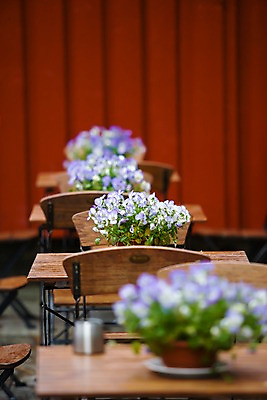 포토 JPG 식물 건축물 건축 꽃 유럽 백그라운드 탁자 실내 북유럽 노르웨이 사람없음 카페 몰데 국내포토 나라 가구 내부 상점 파일형식