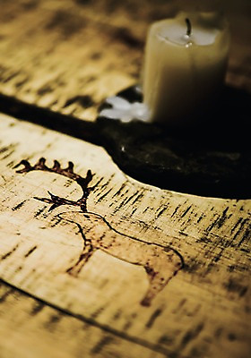 포토 JPG 나무 유럽 백그라운드 초 북유럽 노르웨이 사람없음 목재 보되 국내포토 식물 나라 재료 파일형식