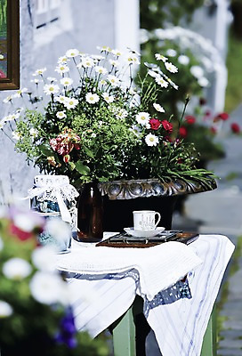 포토 JPG 주간 식물 해외풍경 꽃 유럽 화분 커피 유럽풍경 잔 북유럽 노르웨이 풍경 사람없음 야외 컵 커피잔 스타방에르 국내포토 자연요소 해외 식기 나라 음료 파일형식