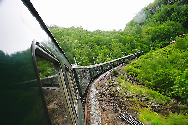 포토 JPG 주간 나무 식물 해외풍경 유럽 교통수단 교통 유럽풍경 자연 북유럽 노르웨이 풍경 사람없음 야외 기찻길 기차 산악철도 플롬 철도의날 국내포토 자연요소 해외 나라 육상교통 대중교통 생태계 파일형식 법정기념일