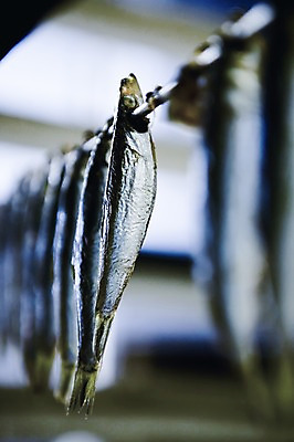 포토 JPG 유럽 음식 백그라운드 식재료 북유럽 노르웨이 어류 사람없음 국내포토 나라 수중동물 파일형식