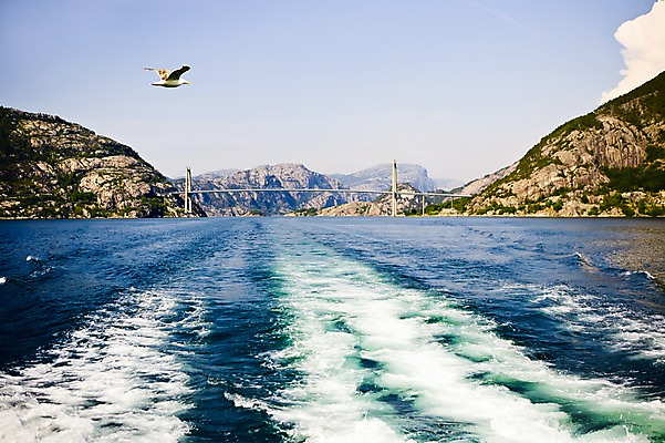 포토 JPG 주간 동물 구름 해외풍경 유럽 유럽풍경 자연 조류 하늘 북유럽 노르웨이 풍경 사람없음 야외 관광지 돌_바위 바위 뤼세피오르 피오르 국내포토 자연요소 해외 나라 여행 생태계 지형 파일형식