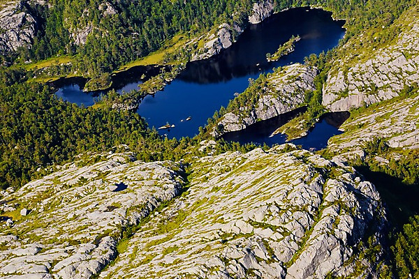 포토 JPG 주간 나무 식물 해외풍경 유럽 유럽풍경 자연 북유럽 노르웨이 풍경 사람없음 야외 관광지 돌_바위 바위 뤼세피오르 피오르 국내포토 자연요소 해외 나라 여행 생태계 지형 파일형식
