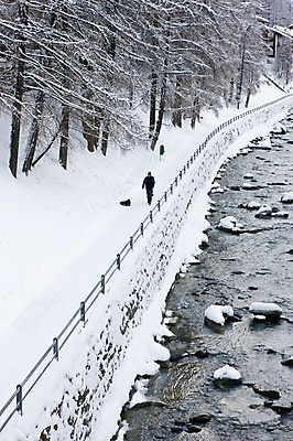 포토 JPG 주간 외국인 나무 식물 해외풍경 남자 유럽 유럽풍경 자연 산 한명 사람 풍경 성인 야외 물 눈 개울 스위스 산길 눈길 산골 남자만 남자한명만 성인남자만 성인만 국내포토 자연요소 1 해외 나라 길 날씨 눈_날씨 인종 강 생태계 파일형식
