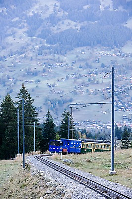 포토 JPG 주간 해외풍경 유럽 교통수단 교통 유럽풍경 자연 풍경 사람없음 야외 기찻길 기차 스위스 빌더스빌 피르스트 철도의날 국내포토 자연요소 해외 나라 육상교통 대중교통 생태계 파일형식 법정기념일