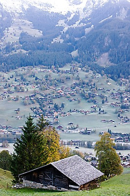 포토 JPG 주간 나무 식물 해외풍경 건축물 건축 유럽 유럽풍경 자연 주택 풍경 사람없음 야외 마을 스위스 빌더스빌 피르스트 국내포토 자연요소 해외 나라 건물 생태계 파일형식