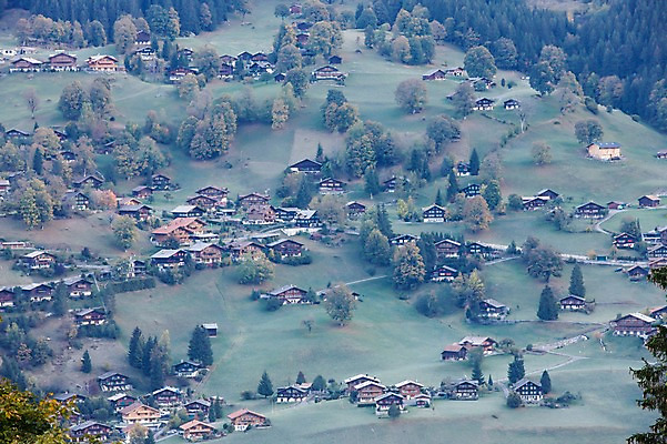 포토 JPG 주간 나무 식물 해외풍경 건축물 건축 유럽 유럽풍경 자연 주택 풍경 사람없음 야외 마을 스위스 빌더스빌 피르스트 국내포토 자연요소 해외 나라 건물 생태계 파일형식