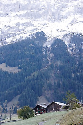 포토 JPG 주간 나무 식물 해외풍경 건축물 건축 유럽 유럽풍경 자연 주택 풍경 사람없음 야외 마을 스위스 빌더스빌 피르스트 국내포토 자연요소 해외 나라 건물 생태계 파일형식