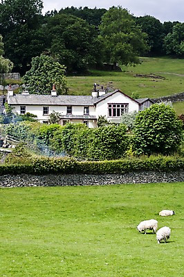 포토 JPG 주간 나무 동물 해외풍경 해외 유럽 포유류 자연 영국 주택 돌담 세마리 풍경 초원 사람없음 야외 담장 농장 시골 양 풀 숲 먹이 유트리농장 국내포토 자연요소 식물 나라 농업 3 건물 돌_바위 생태계 파일형식