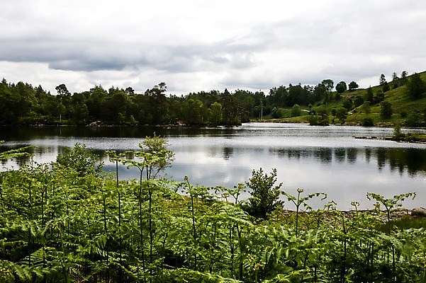 포토 JPG 주간 나무 식물 구름 해외풍경 해외 유럽 호수 여행 자연 하늘 영국 산 풍경 사람없음 야외 관광지 반사 평화 수면 언덕 흐림 국내포토 자연요소 나라 컨셉 날씨 물 생태계 파일형식