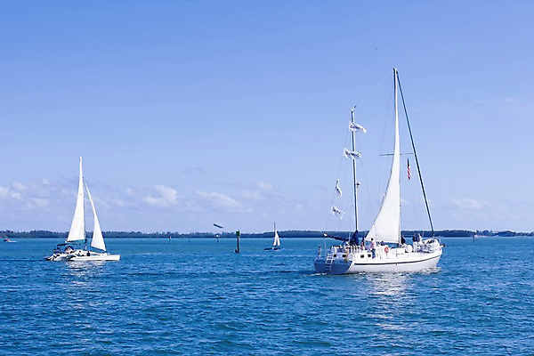 포토 JPG 주간 구름 해외풍경 해외 스포츠 바다 수상교통 북아메리카 요트 하늘 레저 항해 사람 풍경 여러명 야외 맑음 미국 돛 마이애미 선박 국내포토 자연요소 교통수단 다수 배_교통 날씨 아메리카 파일형식