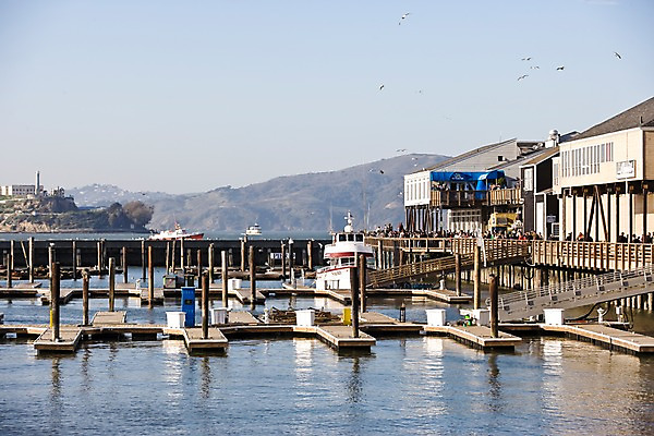 포토 JPG 주간 해외풍경 해외 바다 수상교통 북아메리카 요트 조류 사람 풍경 여러명 야외 건물 아웃포커스 관광지 도시풍경 여행객 미국 도시 쇼핑몰 캘리포니아 나무다리 마리나 샌프란시스코 가교 선박 국내포토 자연요소 동물 건축물 교통수단 여행 다수 배_교통 촬영기법 아메리카 다리_건축물 파일형식