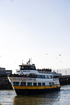 포토 JPG 주간 해외풍경 해외 바다 수상교통 북아메리카 갈매기 조류 풍경 여러명 야외 관광지 여행객 항구 미국 샌프란시스코 선박 국내포토 자연요소 동물 교통수단 여행 다수 교통시설 아메리카 사람 파일형식